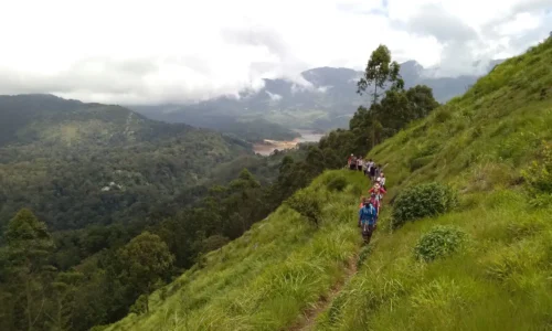 Group trekking through lush green hills in Munnar, Kerala.