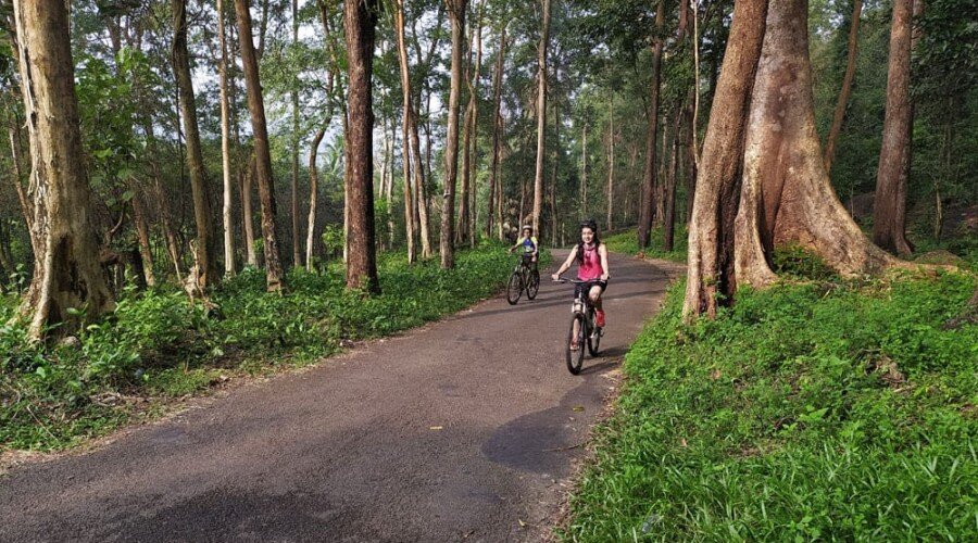 Cyclists riding through lush green landscapes in Kerala, India.