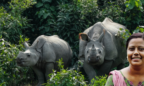 Dr. Sonali Ghosh standing near a one-horned rhinoceros at Kaziranga National Park, Assam, India