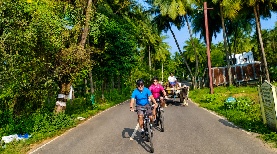 Western Ghats Cycling Holiday, South India