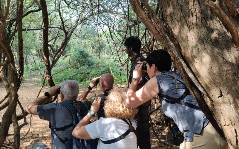 Spotting birds at Chinnar Wildlife Sanctuary during South India Birding Tour