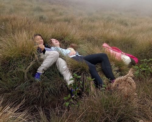 Kerala trekking tour - Meeshpulimala, Munnar